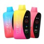 Elf VPR 18000 Disposable Elf VPR 18000 Disposable