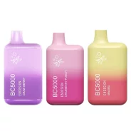 EBCreate BC5000 Disposable Vape – Rechargeable, High Puff Count | Blaze & Vape