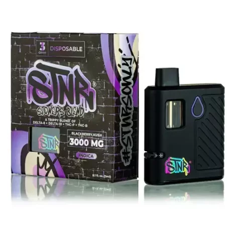 STNR Stoner Blend 3g Disposable Vape – Powerful & Convenient | Blaze & Vape