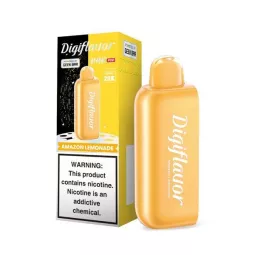 Portable Digital Vaporizer with Precise Temperature Control | Blaze & Vape