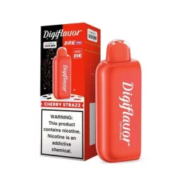 Portable Dry Herb Vaporizer with Digital Display | Blaze & Vape