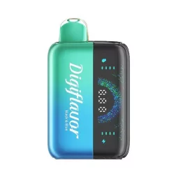 Portable Dry Herb Vaporizer with Digital Display | Blaze & Vape
