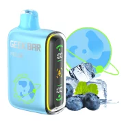 Geek Bar Pulse 15000 Disposable Vape - Long-lasting & Flavorful